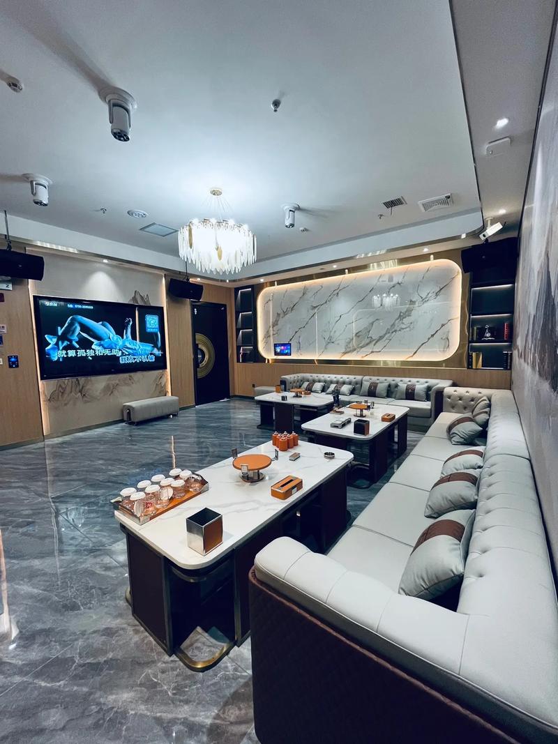 开封商务ktv，畅享商务娱乐-尉氏县ktv预定